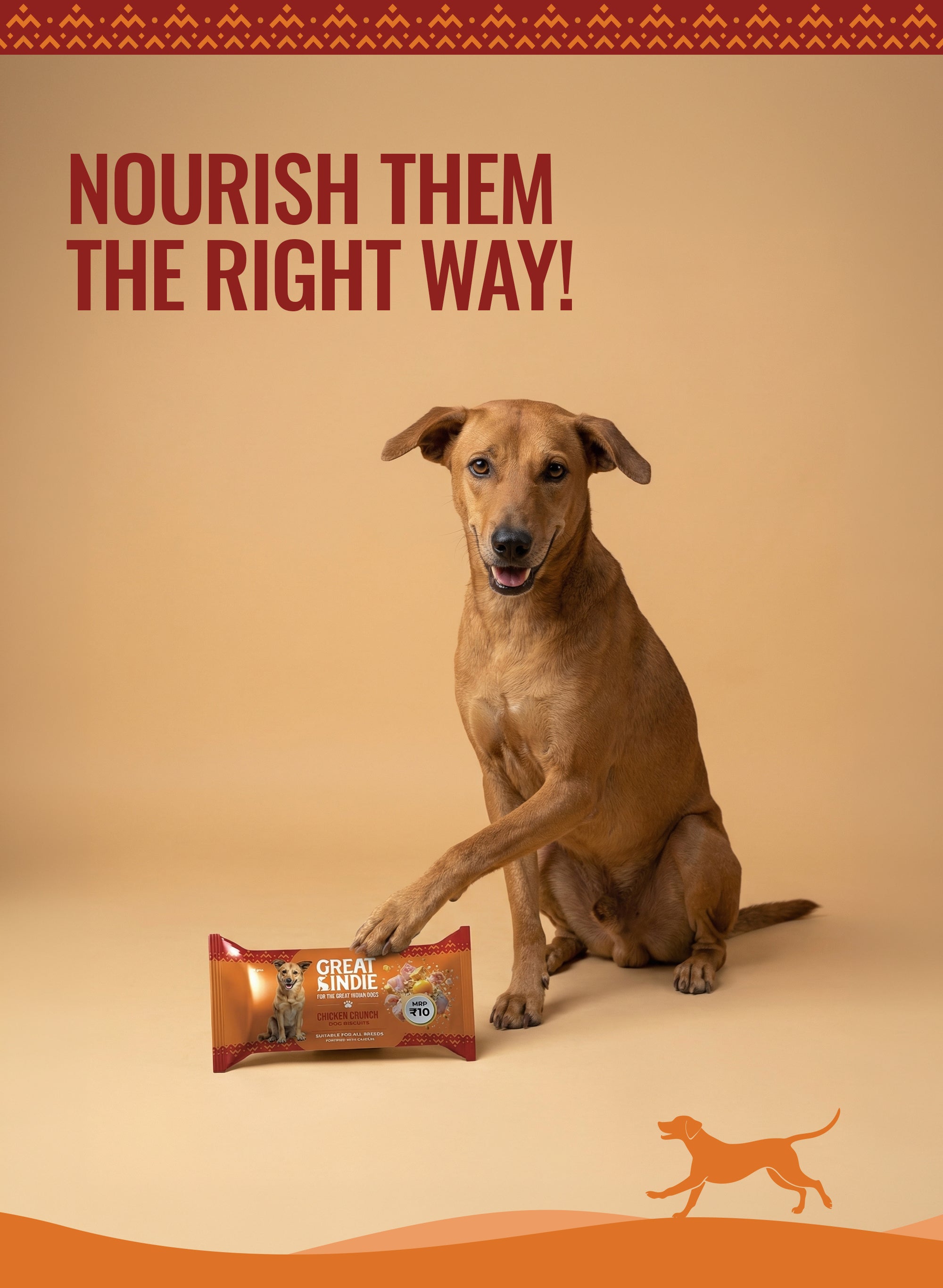 Chicken Crunch Treats
