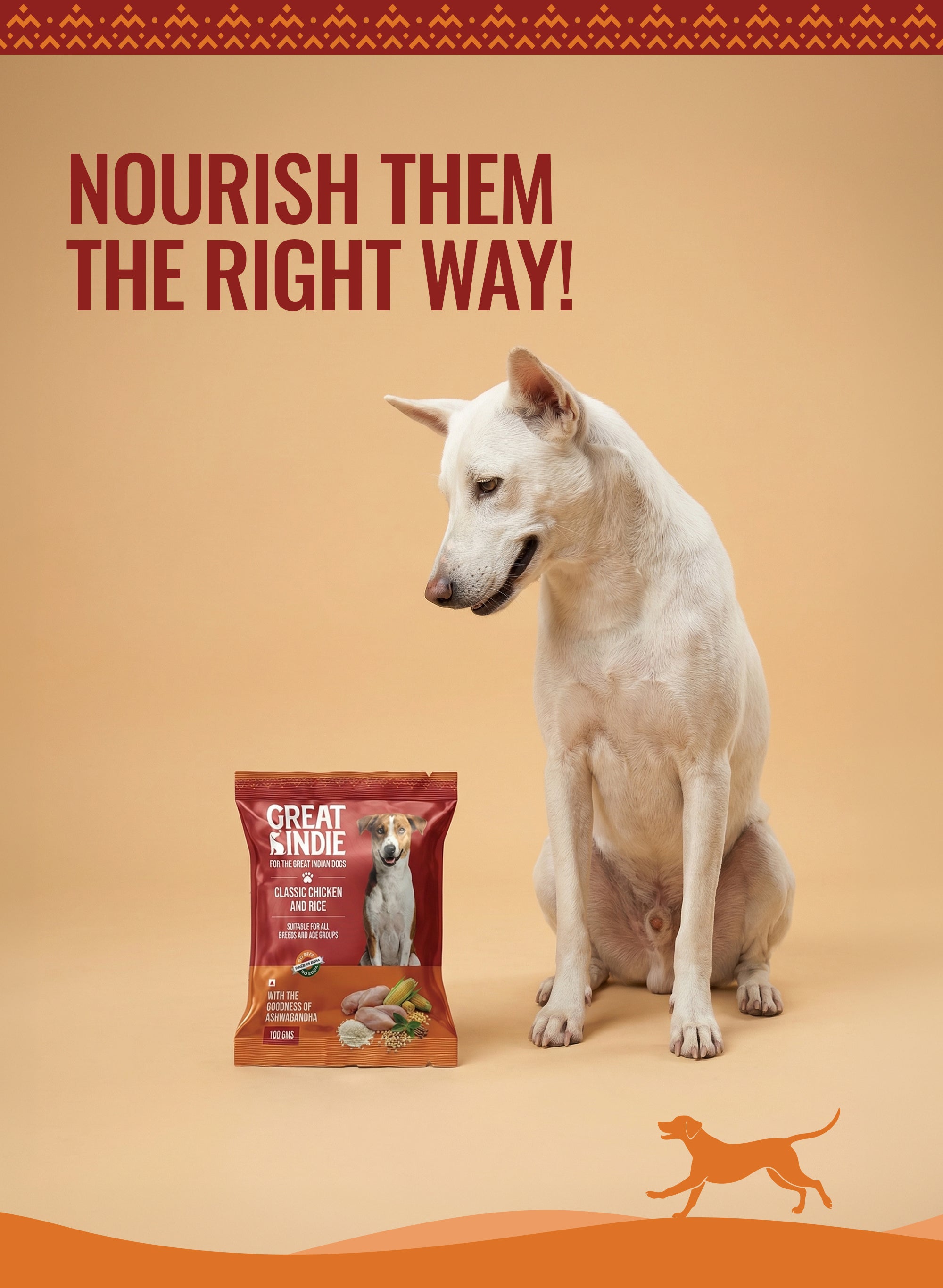 Classic Chicken and Rice Kibble